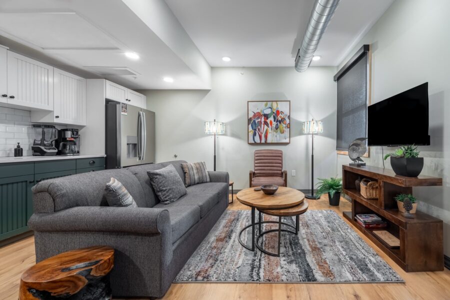 Duluth Rental Suite 202 - Living area with area rug, sofa, large TV, plants and artwork