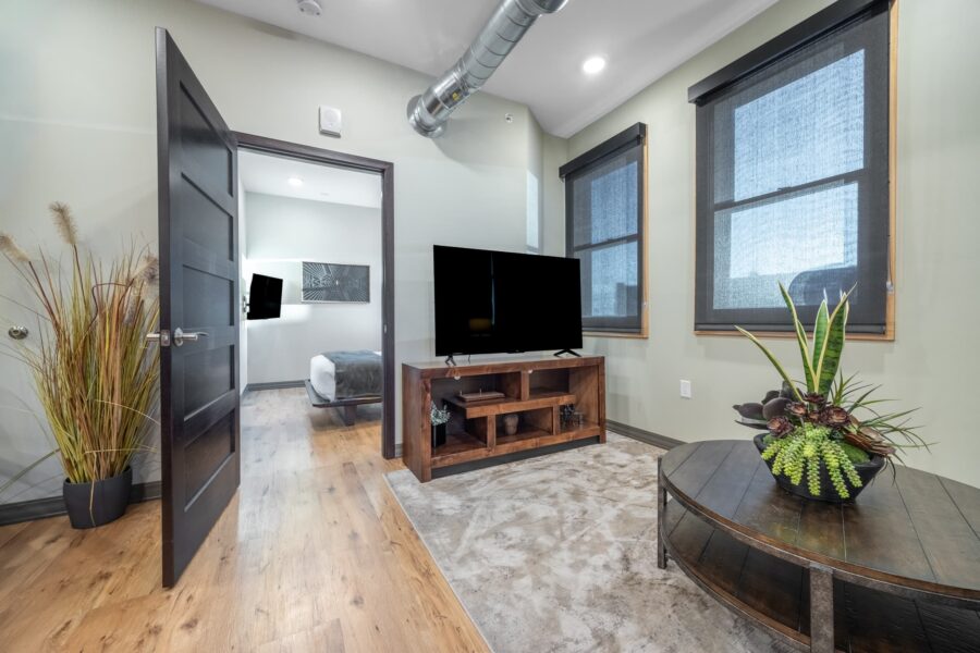 Duluth Rental Suite 203 - living area with plants